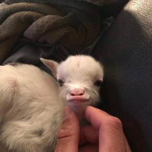 Juuuli :3