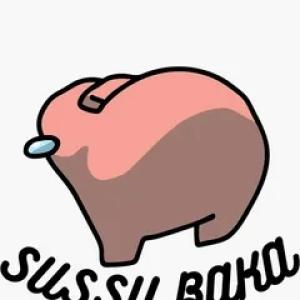 sussy