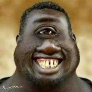 KerchNET