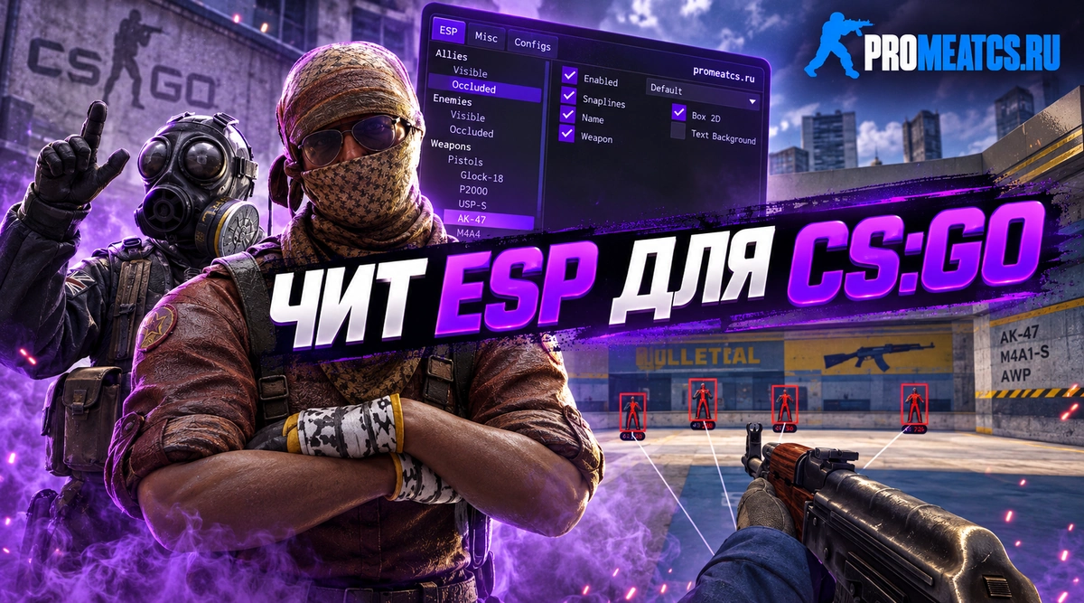 «ESP» (ЕСП) — дополнительный игровой инструмент для CS:GO